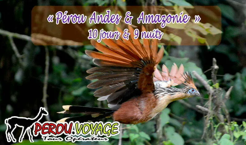 voyage au pérou
