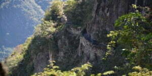 pont inca valléé sacree
