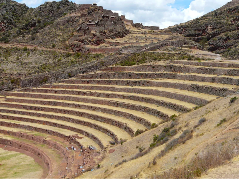 Terrasses agricoles incas du site de Pisac dominant la Vallée Sacrée, Pérou