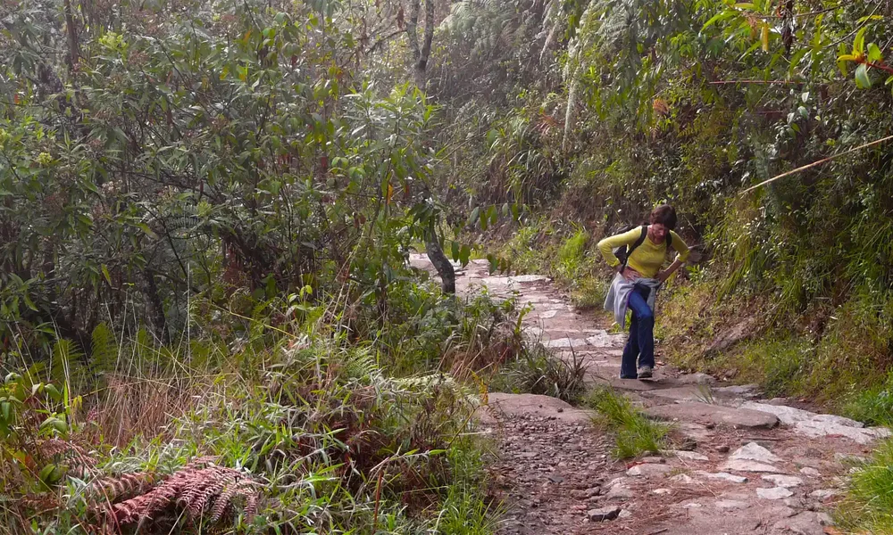 Randonneurs sur le Chemin de l'Inca vers le Machu Picchu, Andes péruviennes