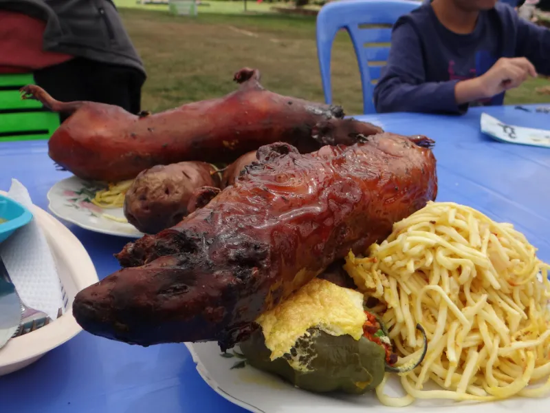 Cuy al horno, cochon d'Inde rôti, plat traditionnel des Andes péruviennes servi à Cusco