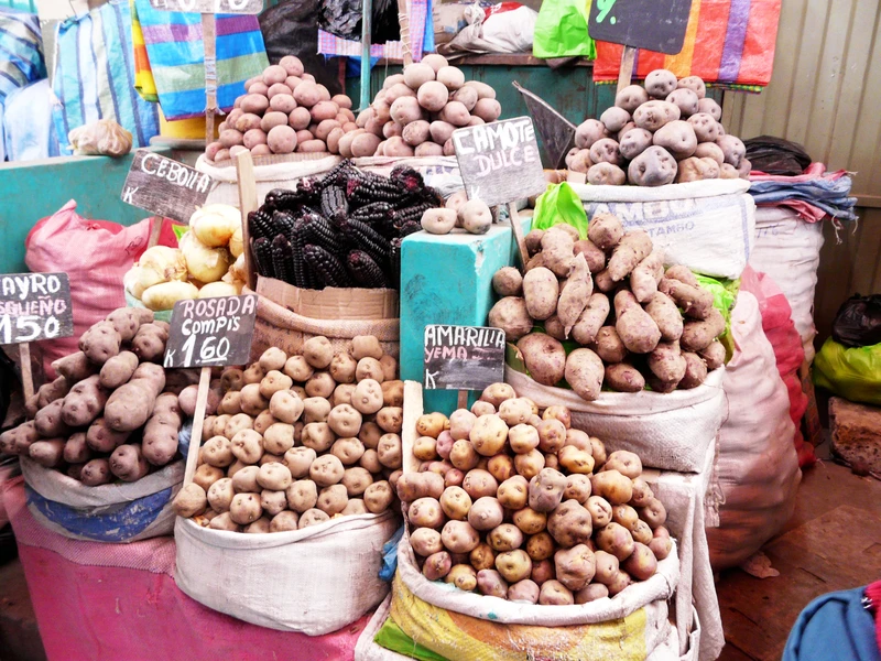 Variétés de pommes de terre andines sur un marché péruvien, plus de 3000 variétés au Pérou
